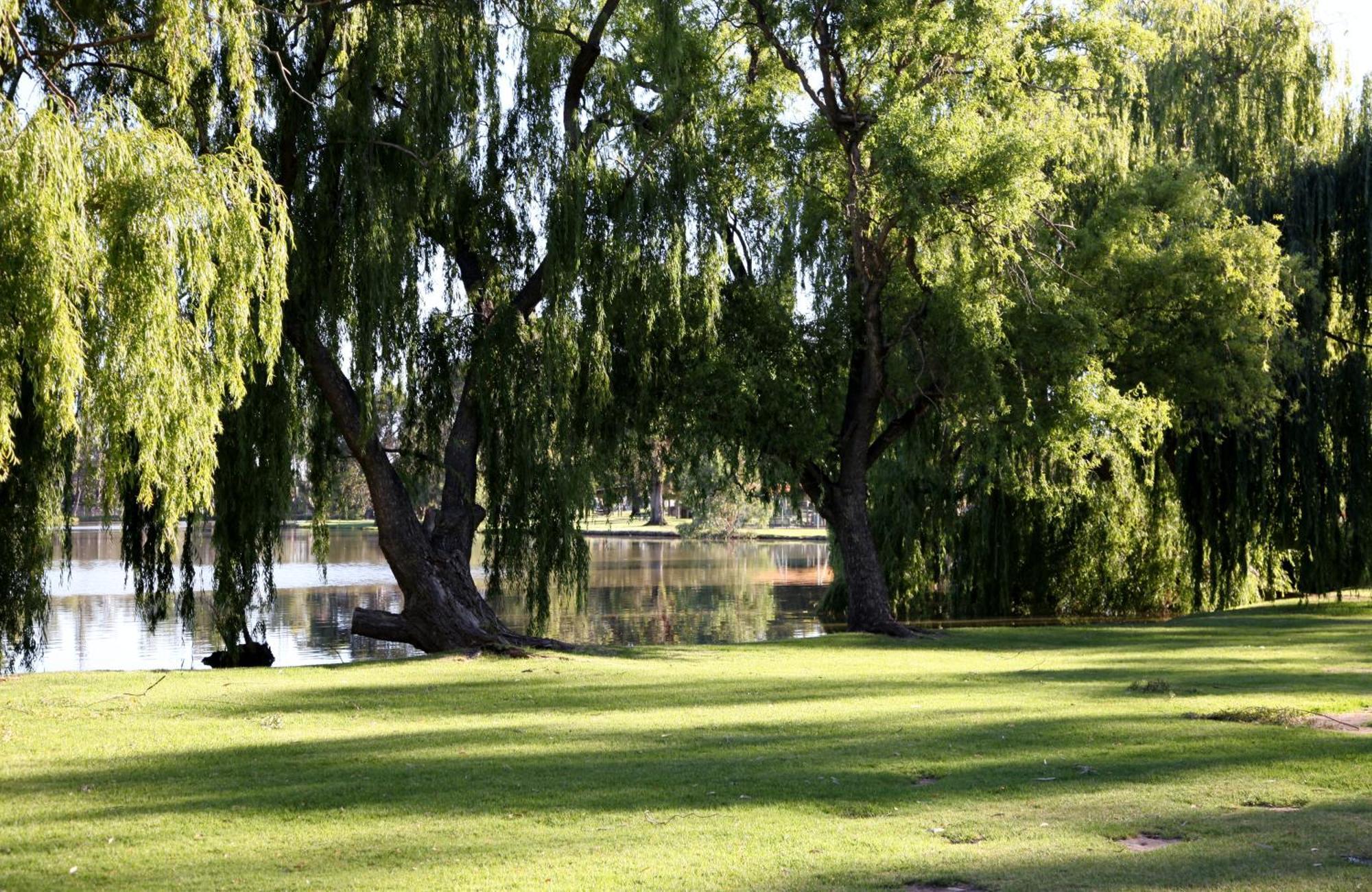 Cohuna Waterfront Holiday Park Экстерьер фото